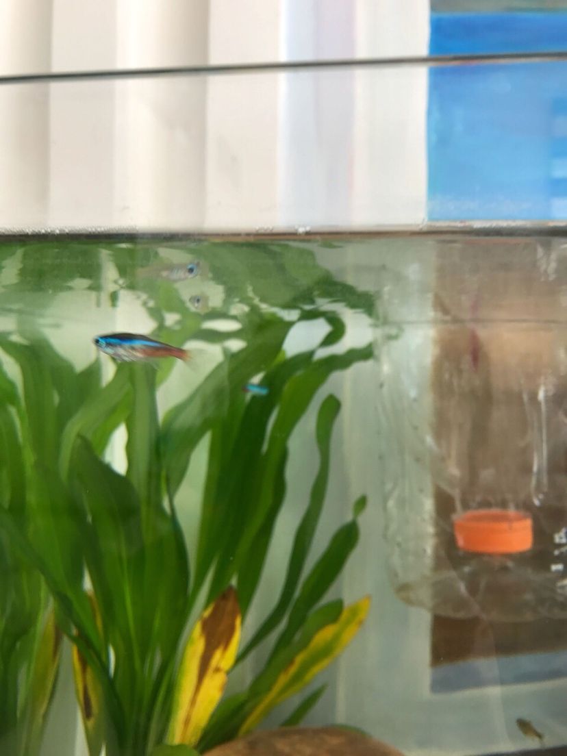 荆门水族馆Diy设计