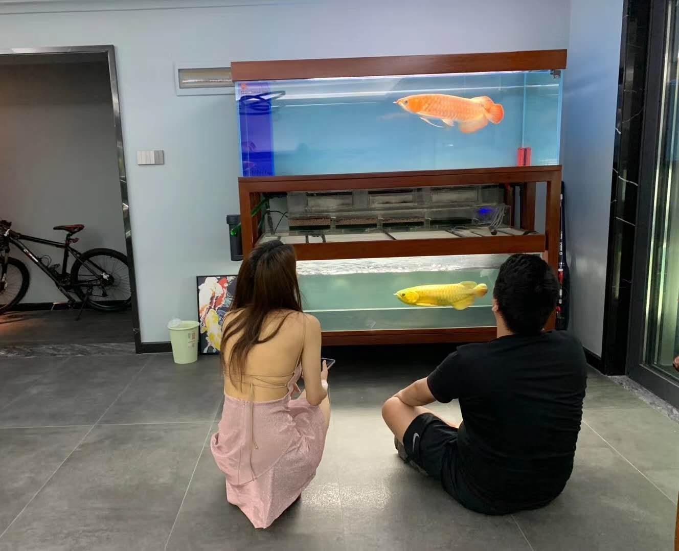 通化水族馆鱼友群发现一图满眼的羡慕嫉妒恨