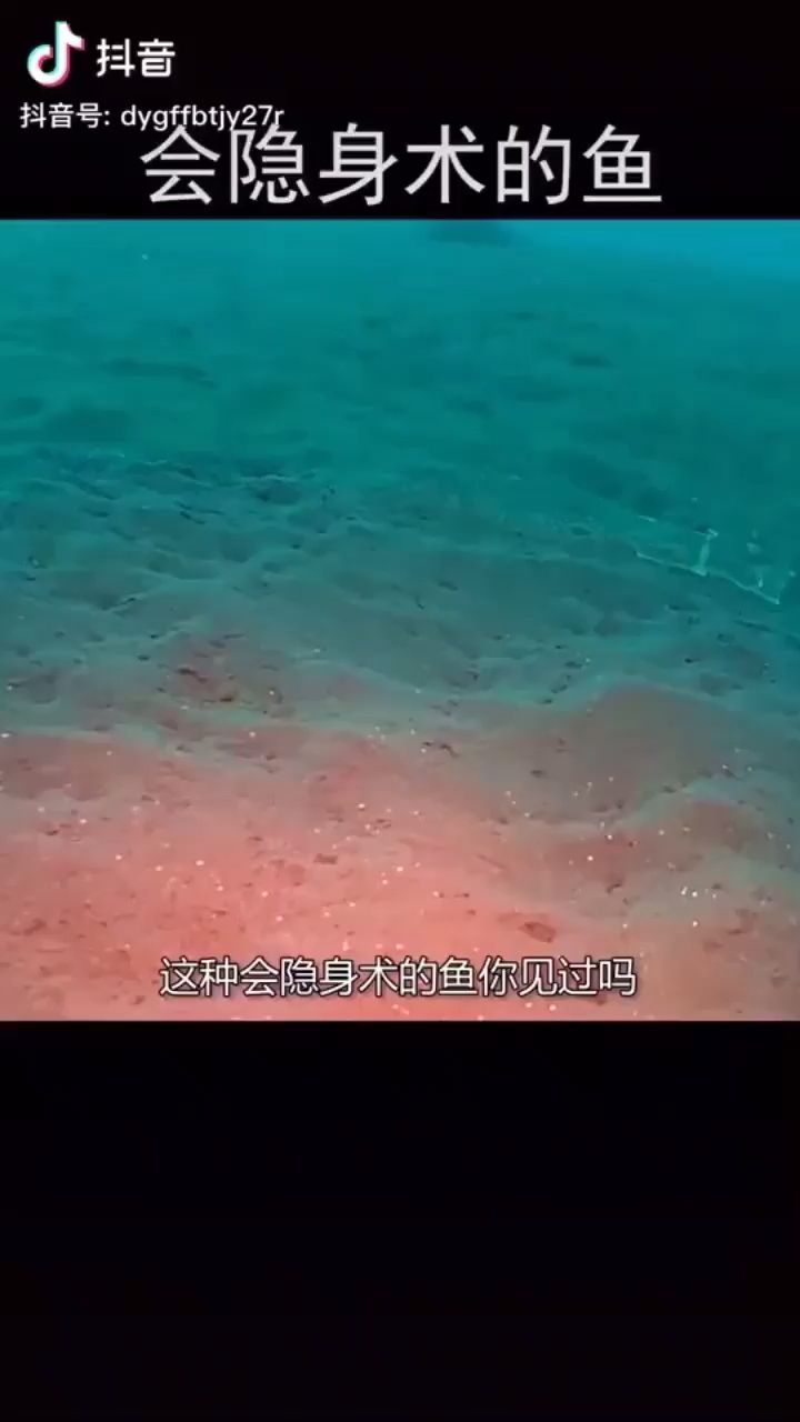 龙岩水族馆教学海水鱼圈