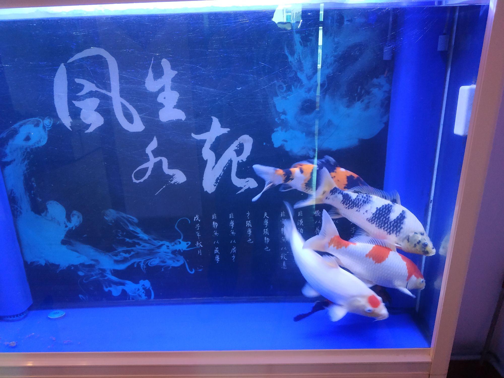 南充水族馆有惊无险