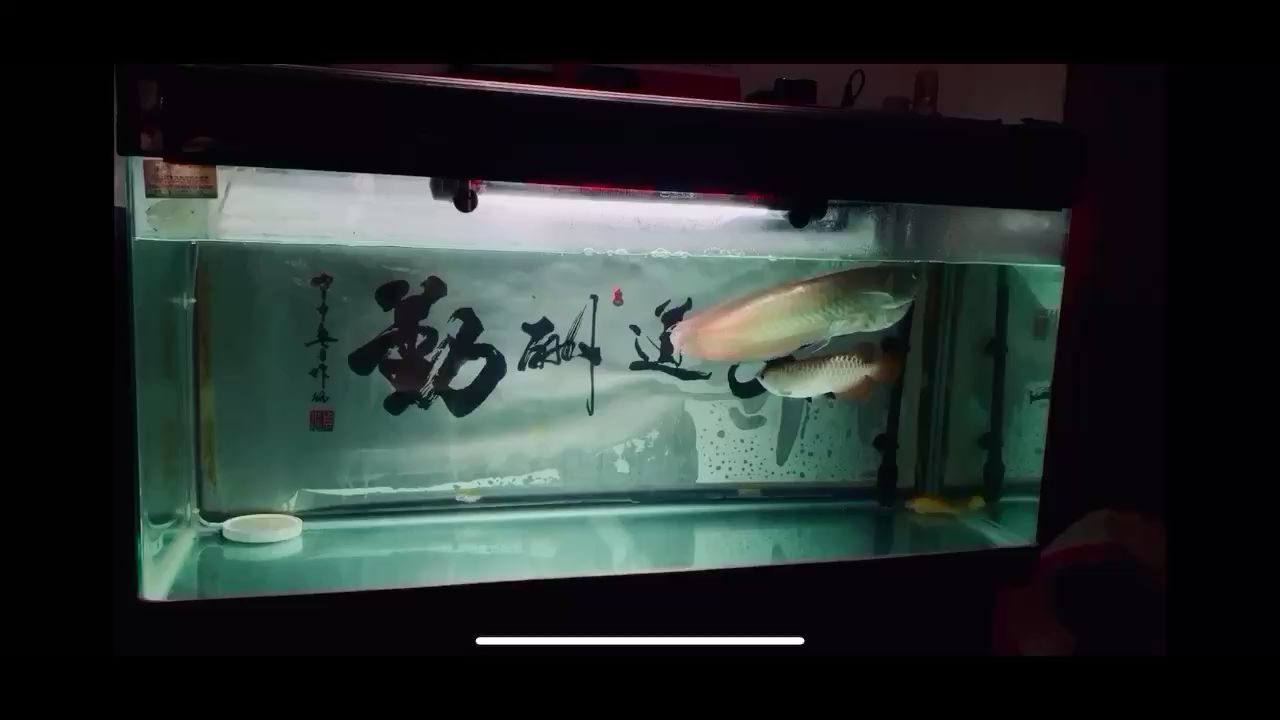 甘孜藏族自治州水族馆又是一天