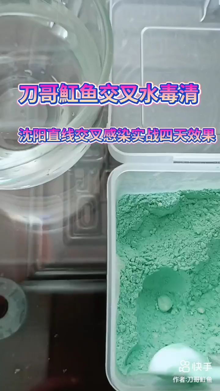 交叉感染拒食实战效果（白子血统直线交叉感染）