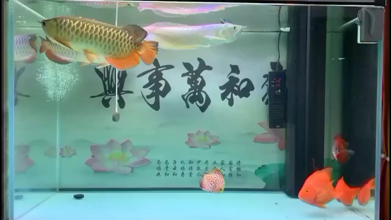 金华水族馆游啊游