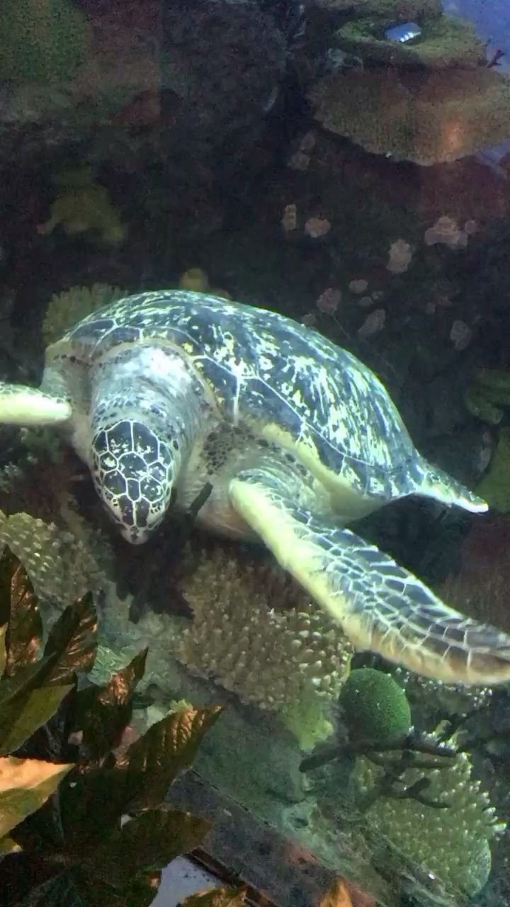 海洋馆一日游