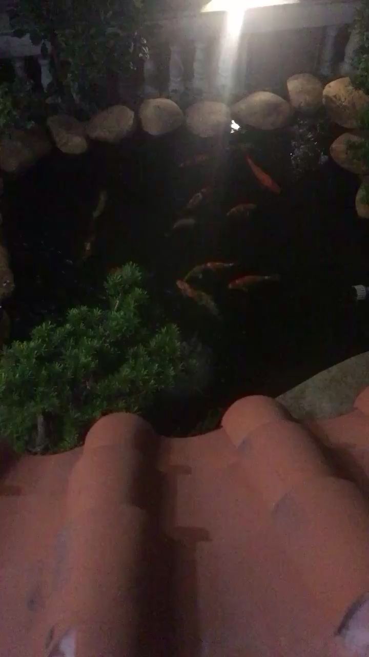 南阳水族馆太多了