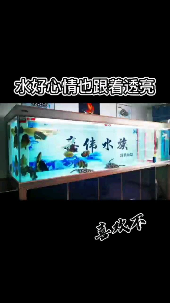 潍坊水族馆水好心情好