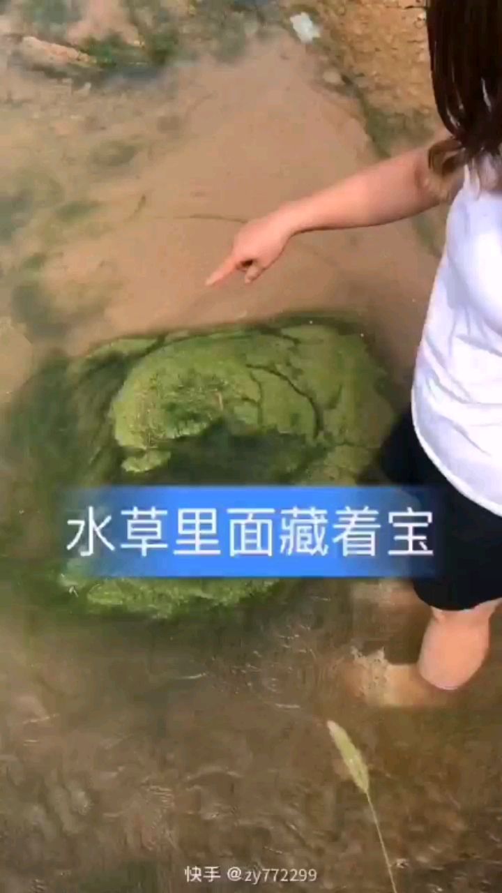 这是脑子怎么了