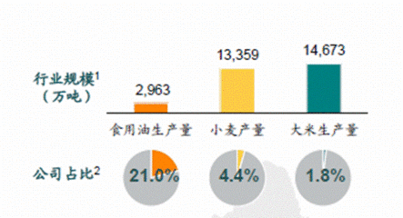 上海俞龙华观赏鱼养殖专业合作社（上海俞龙华观赏鱼养殖专业合作社详细介绍俞龙华观赏鱼养殖专业合作社）