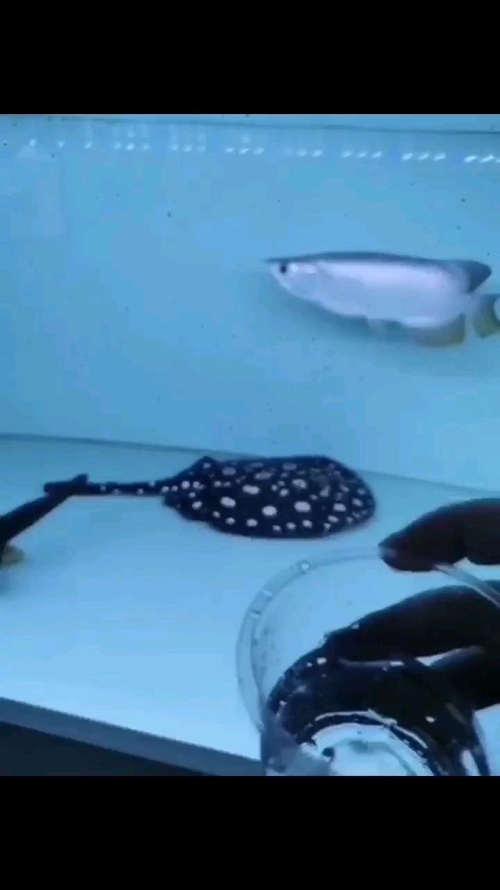 韩城水族馆走一个