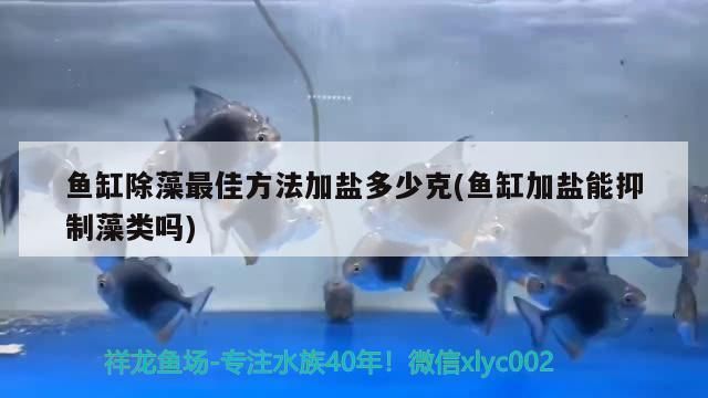 灯塔市富海观赏鱼养殖专业合作社（富海观赏鱼养殖专业合作社）