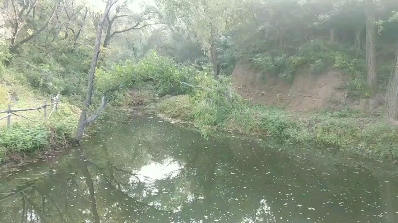 包头水族馆又来寻鱼虾