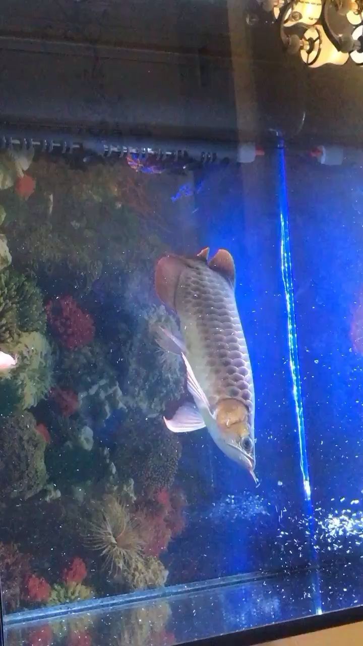 西宁水族馆陪伴的日子