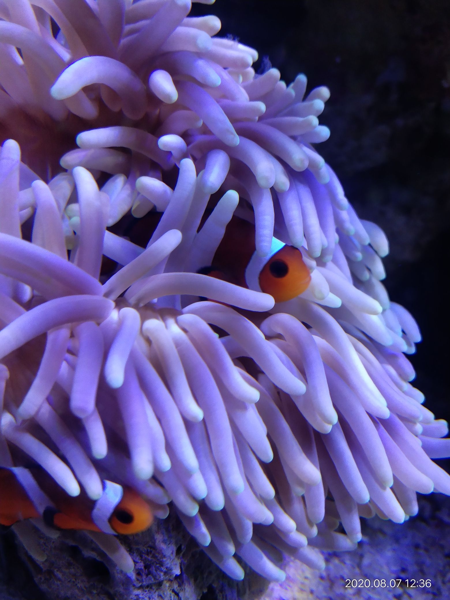 深圳水族馆有啥好玩不需要多大空间的东西吗