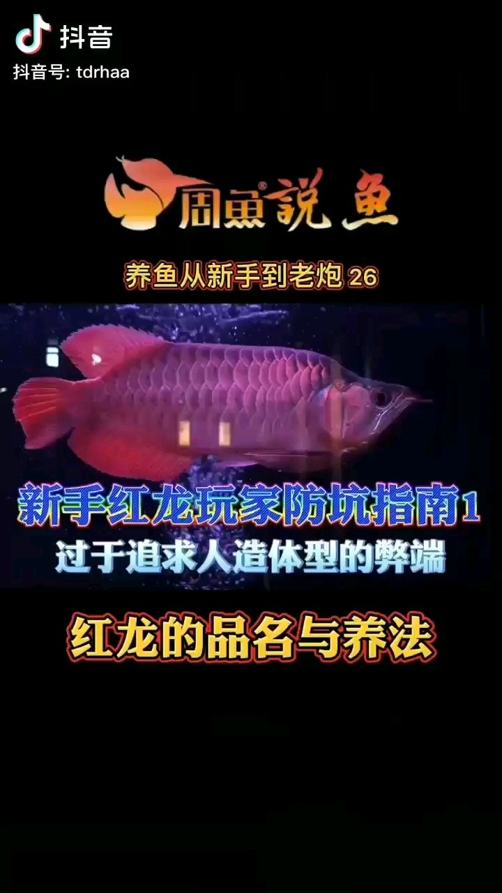 净说大实话但有些人就是不会听