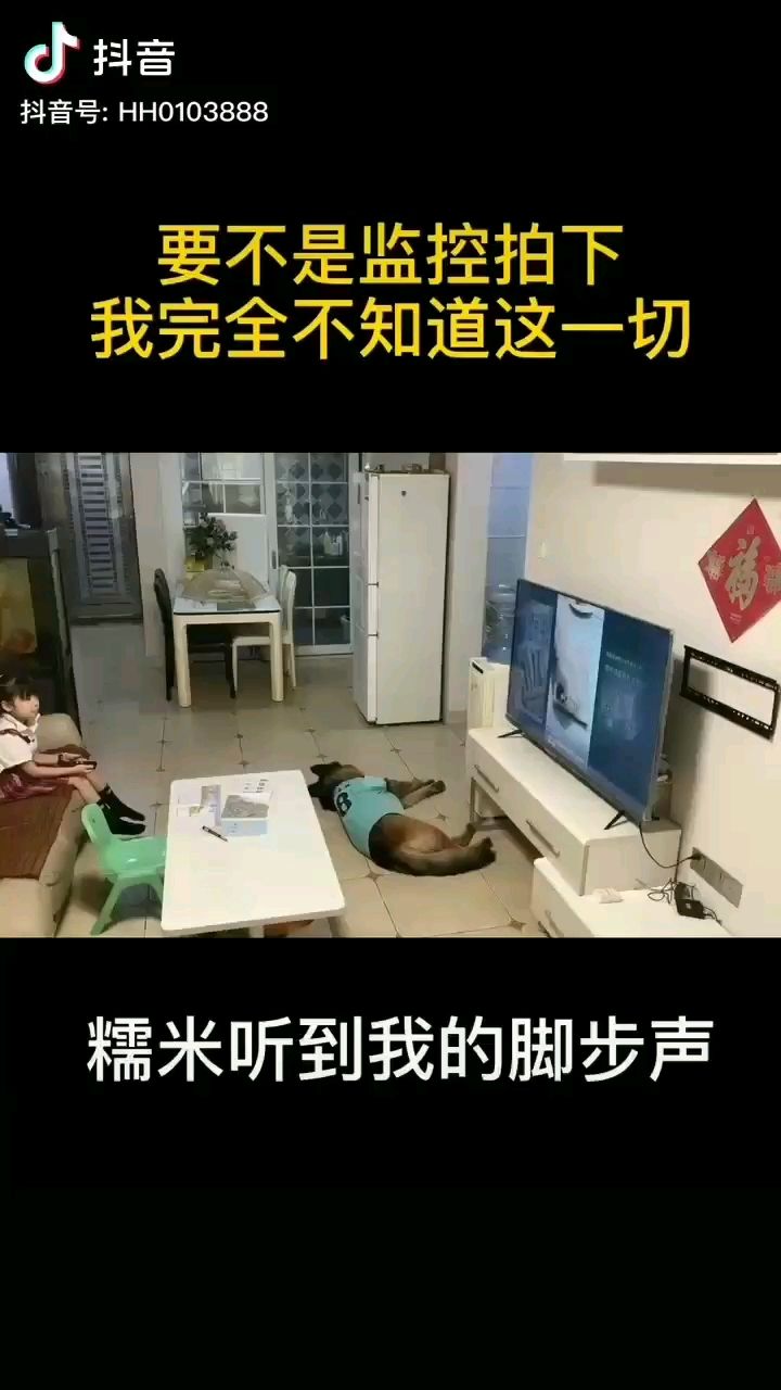 临潼观赏鱼市场这个守护者他是真靠谱