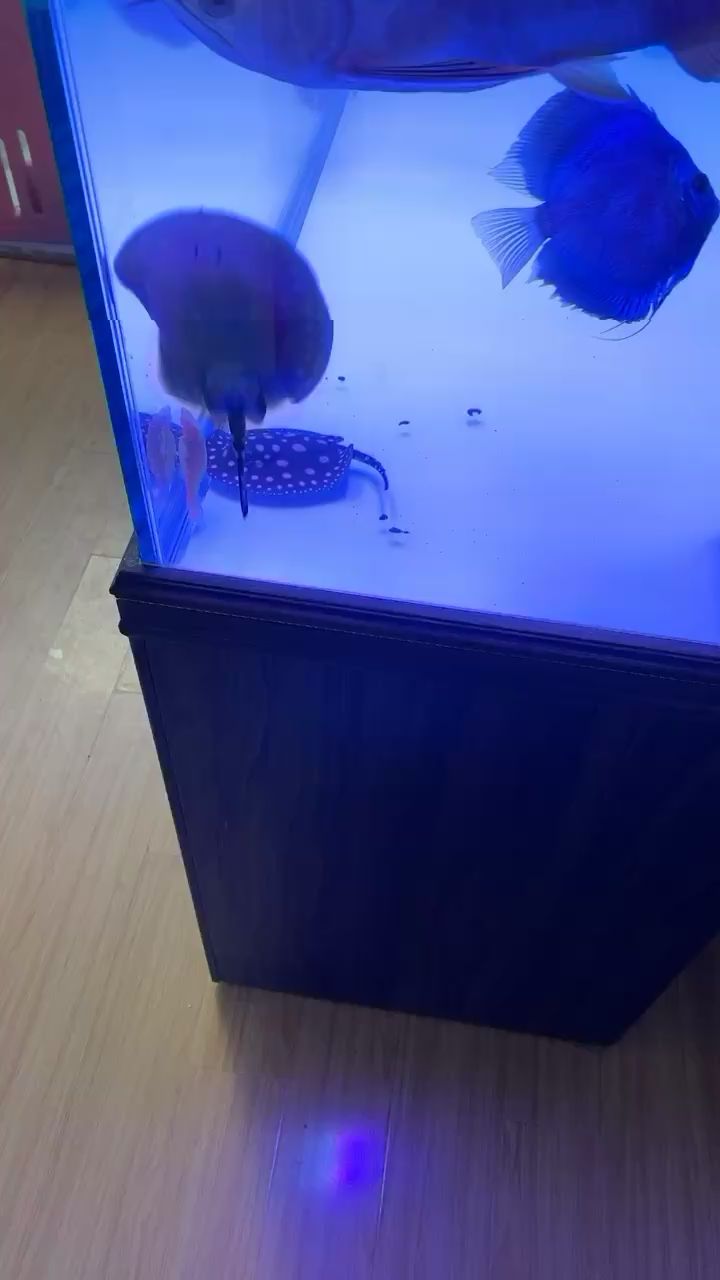 巴中水族馆营养吸收中