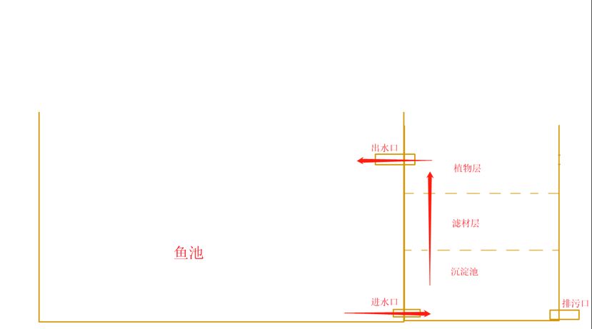 洛阳观赏鱼市场长38m宽25m生态过滤可行吗？