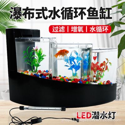 黑龙鱼繁殖方法（-黑龙鱼繁殖前需要准备哪些工作） 水族问答