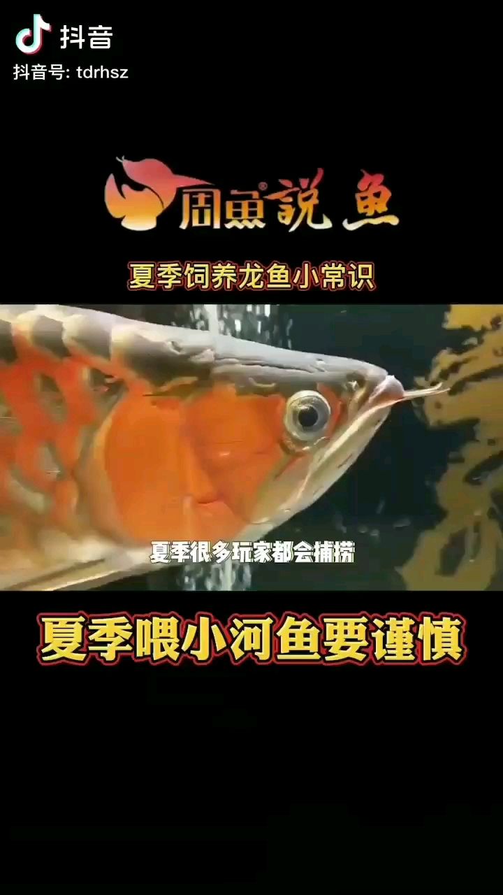 看长知识