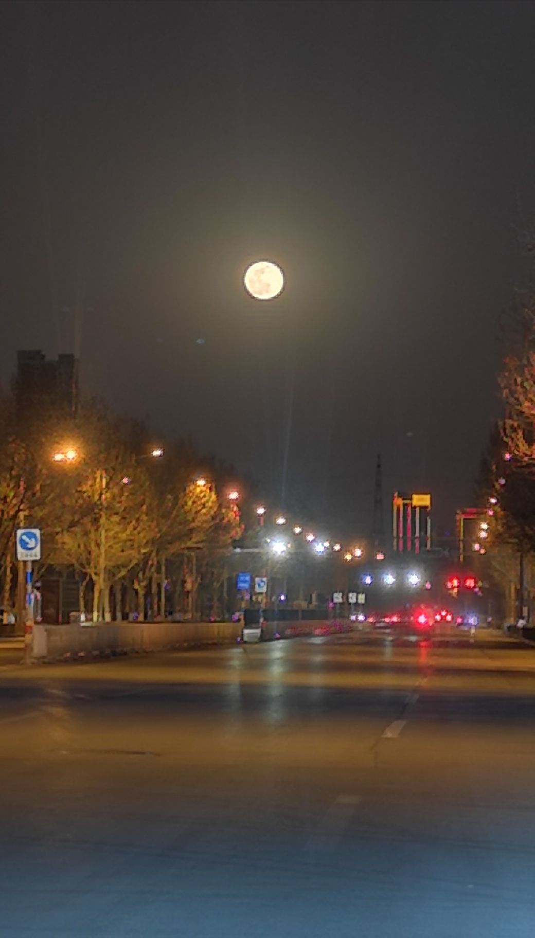 林芝观赏鱼市场拾掇过滤水清鱼欢一轮明月送大家 观赏鱼市场（混养鱼） 第9张