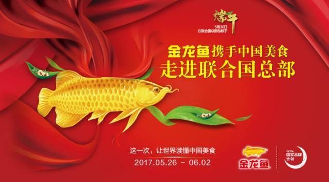 金龙鱼的品牌故事有哪些名字（金龙鱼品牌发展历程,金龙鱼食用油的创新技术）