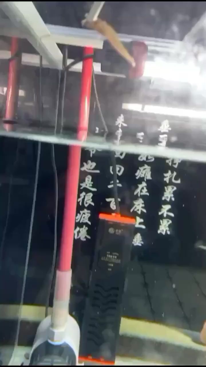 又想要状态我胆子又小