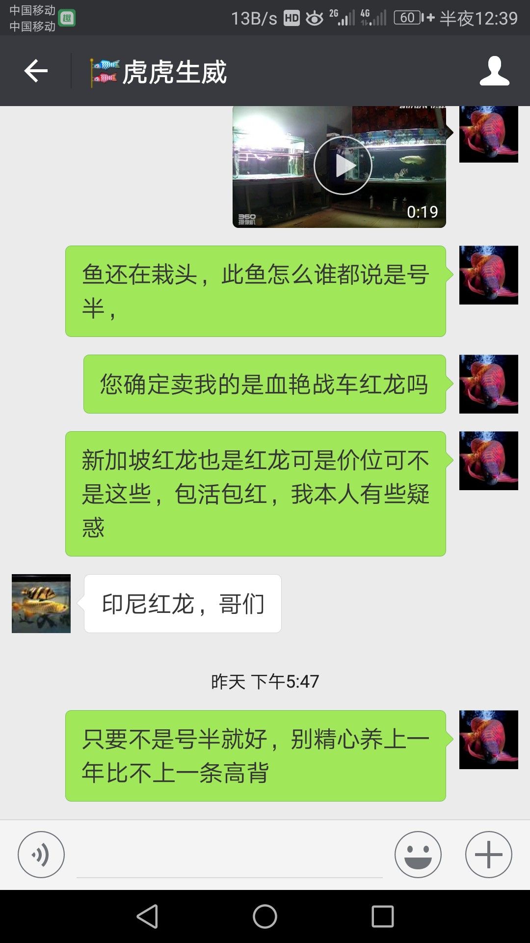 买到的不是鱼而是烦恼 恐龙王鱼 第5张