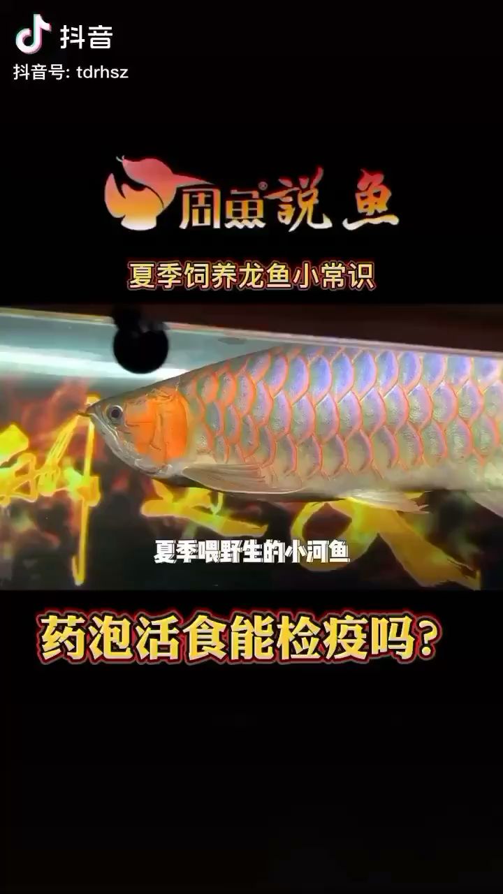 喂活食前的检疫工作你们做对了吗？