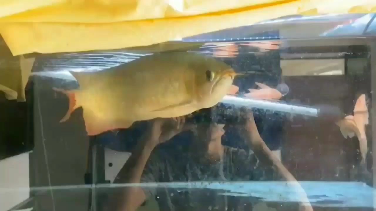 长春水族馆坐标天津喜欢来