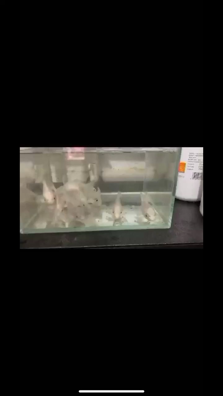 梧州水族馆又剁手了