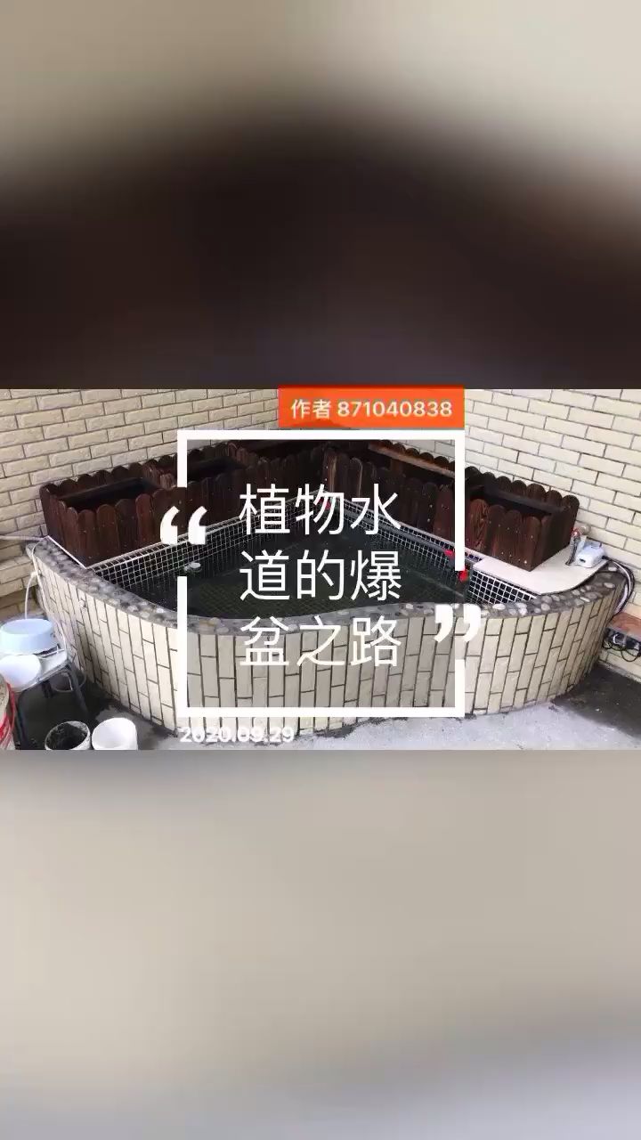 无锡水族馆绿萝爆盆了要剪吗？