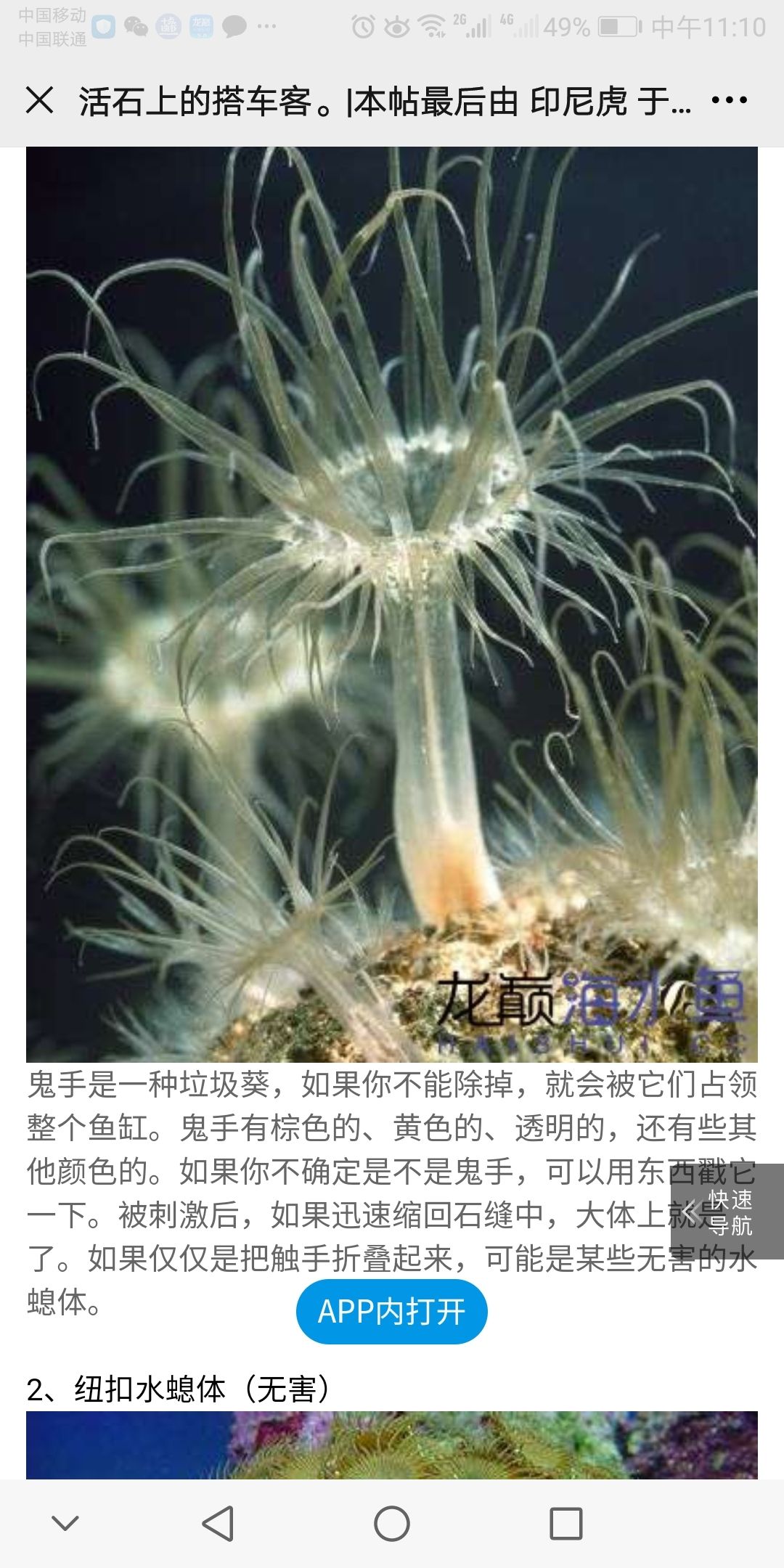 博尔塔拉蒙古自治州水族馆水螅