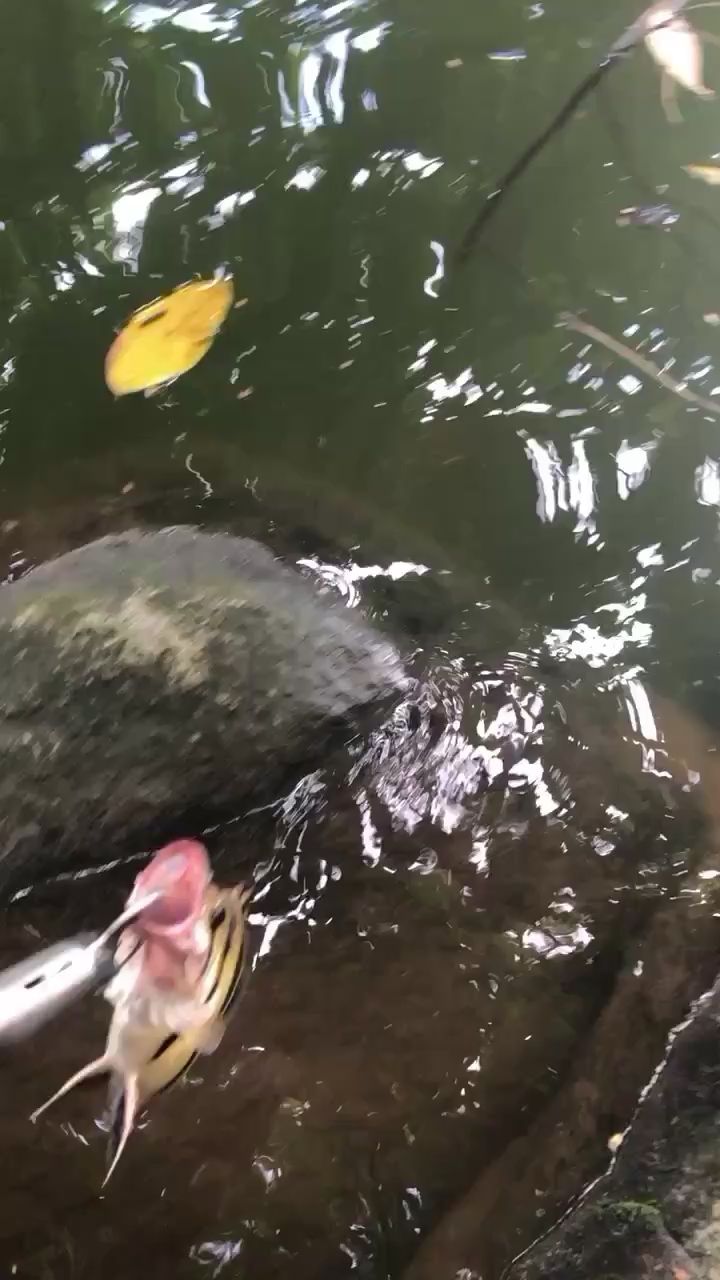 高陵水族馆放