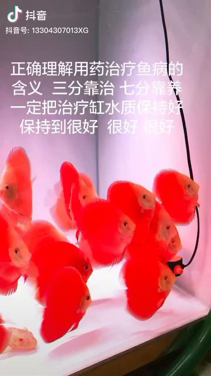 鱼药的用法和理解