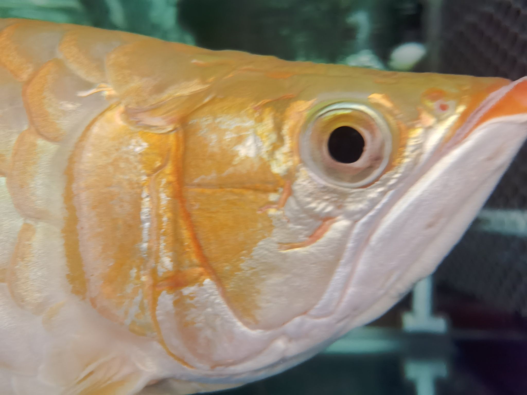 常德水族馆换水中