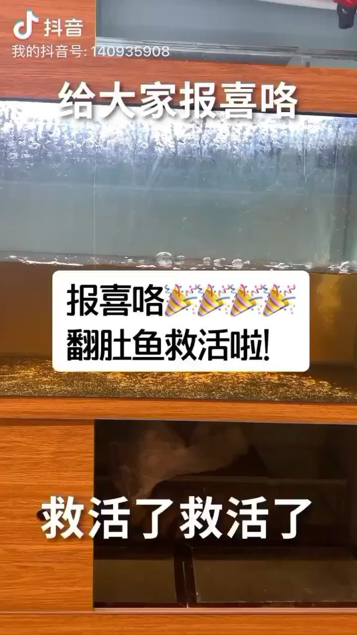 韶关水族馆救活啦救活啦