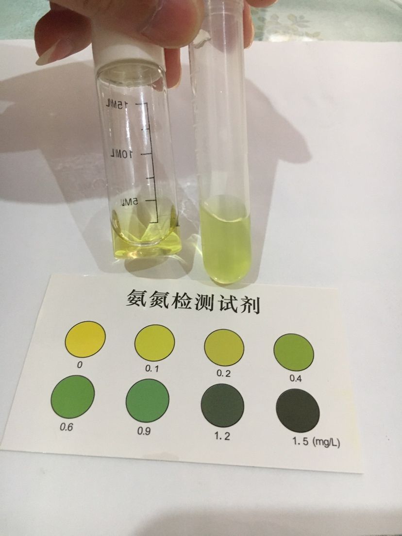 德阳观赏鱼市场记录一下水质进鱼14天