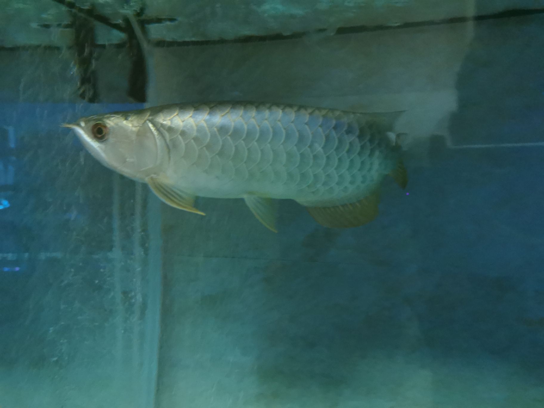 安康水族馆来组关灯照