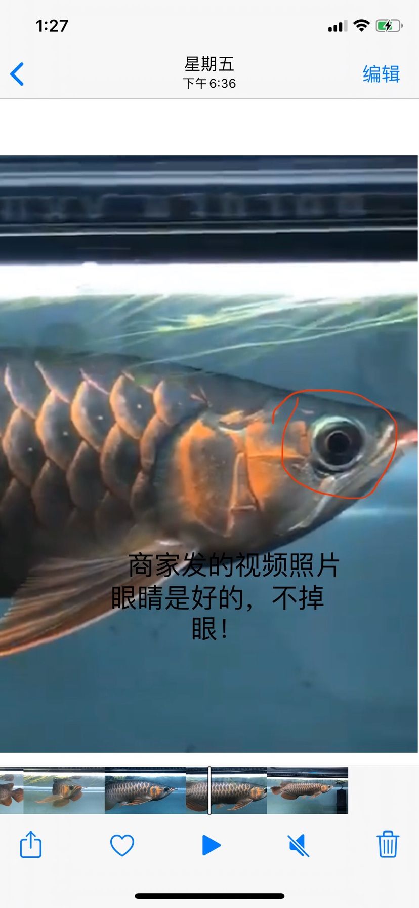 孟吉尔就是这作风？？ 广州孟吉尔 第7张