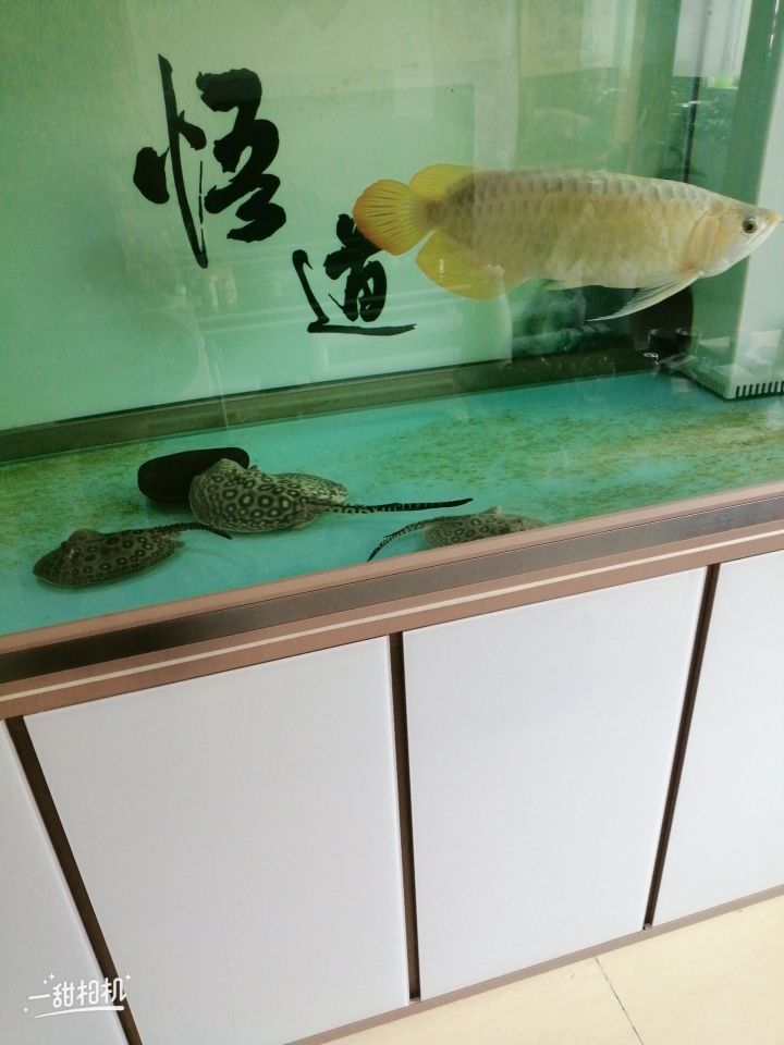 衡阳水族馆签到分享