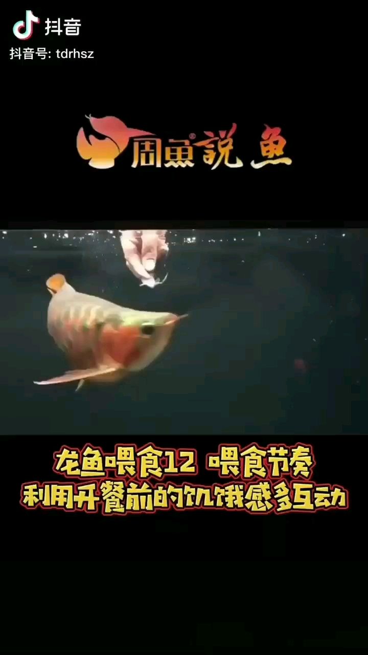 泉州水族馆我的互动只有三下忍不住就喂了