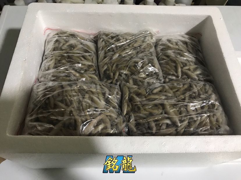 驻马店观赏鱼市场发往全国各地的铭龙专用鱼粮