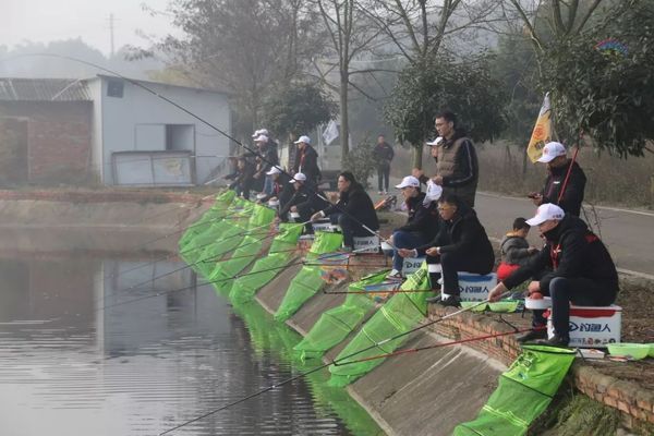 沈阳市沈北新区忠财观赏鱼养殖场（忠财观赏鱼养殖场） 水族周边