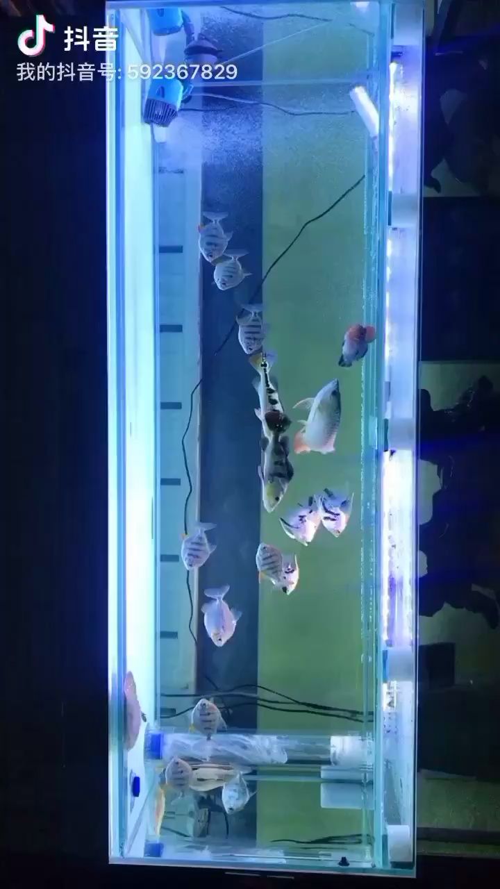 青岛水族馆签到签到