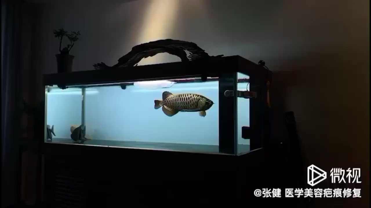 襄樊水族馆深夜篇