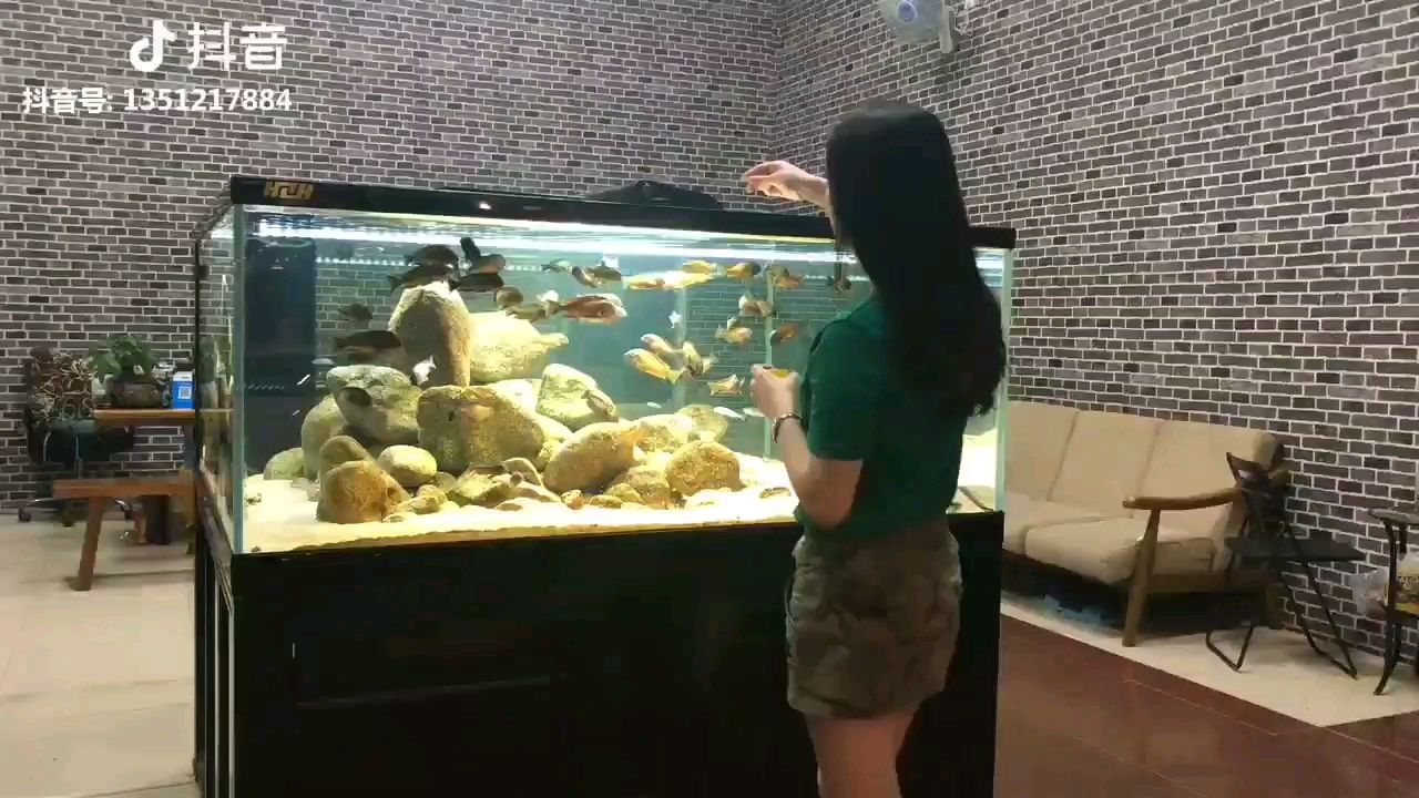 承德水族馆美女喂鱼