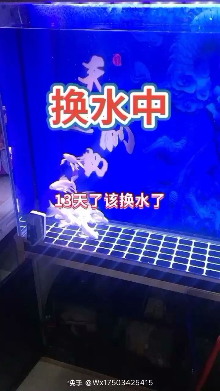 13天换水了