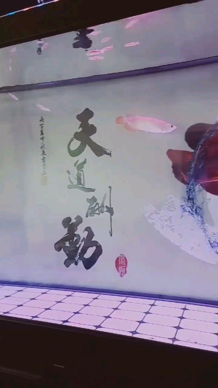 帮忙看看是什么品种