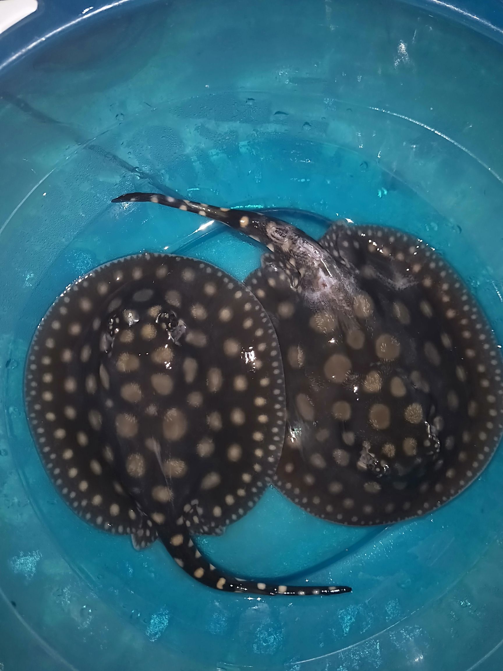 海北藏族自治州水族馆呦呵