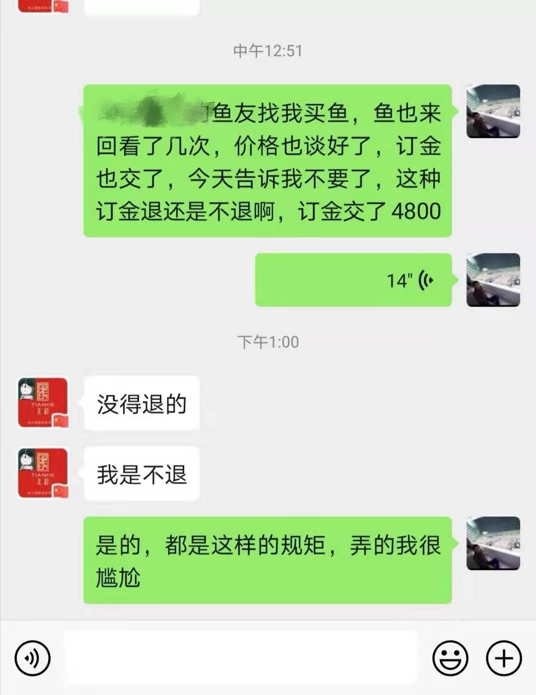 天和他们卖鱼的规矩鱼友们细品